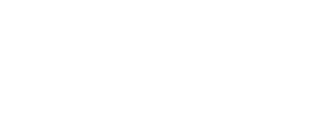 DevUPro — Go for IT